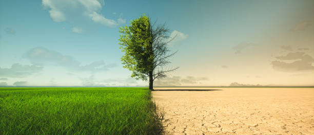 Mudanças Climáticas